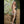 Myla Luxury Doll Sex Dolls