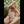 Myla Luxury Doll Sex Dolls
