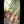 Myla Luxury Doll Sex Dolls