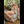 Myla Luxury Doll Sex Dolls