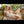 Myla Luxury Doll Sex Dolls