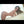 NIKKI + Options Sex Dolls