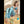 Noelani Sex Doll Sex Dolls