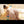 Noelani Sex Doll Sex Dolls