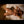 Pammy Sex Doll Sex Dolls