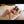 Pammy Sex Doll Sex Dolls