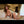 Pammy Sex Doll Sex Dolls