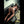 PAOLINA + Options Sex Dolls
