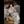 Qiu Sex Doll Sex Dolls