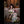 Qiu Sex Doll Sex Dolls