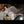 Qiu Sex Doll Sex Dolls