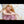 Quiny Realistic Sex Doll Sex Dolls