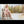 Quiny Realistic Sex Doll Sex Dolls