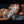 Rachele Luxury Doll Sex Dolls