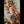 Rosana Sex Doll Sex Dolls