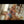 Rosana Sex Doll Sex Dolls