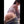 Sakura Realistic Sex Doll Sex Dolls