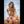 Savana Luxury Doll Sex Dolls