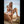 Savana Luxury Doll Sex Dolls