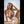 Savana Luxury Doll Sex Dolls