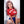 Shantel + Options Sex Dolls