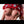 Shantel + Options Sex Dolls