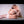 Shantel + Options Sex Dolls