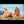 Stacci Luxury Doll Sex Dolls