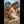 Stacci Luxury Doll Sex Dolls