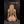Stacci Luxury Doll Sex Dolls