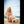 Stacci Luxury Doll Sex Dolls