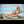 Stacci Luxury Doll Sex Dolls
