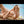 Stacci Luxury Doll Sex Dolls