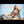 Stacci Luxury Doll Sex Dolls