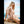 Stacci Luxury Doll Sex Dolls