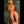 Waverly + Options Sex Dolls