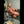 WYLDA + Options Sex Dolls