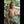 WYNTER + Options Sex Dolls