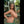 WYNTER + Options Sex Dolls