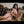 Zeta Sex Doll Sex Dolls