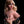 Zillow + Options Sex Dolls