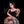 Zillow + Options Sex Dolls
