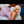 Sex Doll - [title] - MyRealDolls