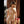 Sex Doll - [title] - MyRealDolls